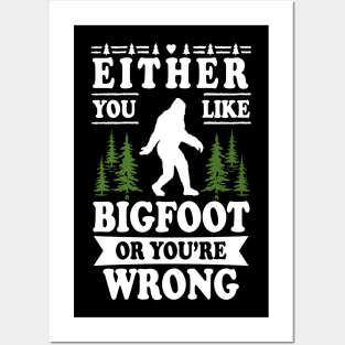 Either You Like Bigfoot Or You're Wrong Posters and Art